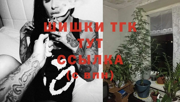 первитин Медвежьегорск