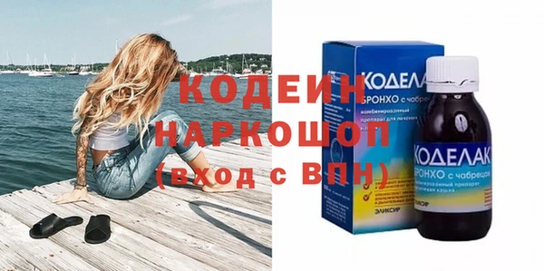 индика Ростов