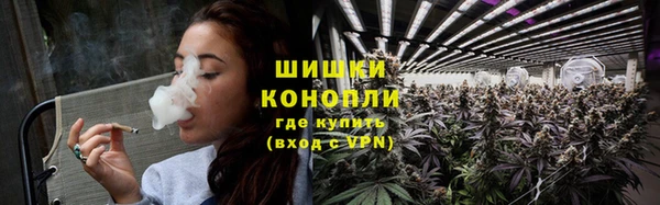 spice Медногорск