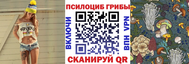 блэк спрут ссылки  сколько стоит  Нижний Тагил  Галлюциногенные грибы мицелий 