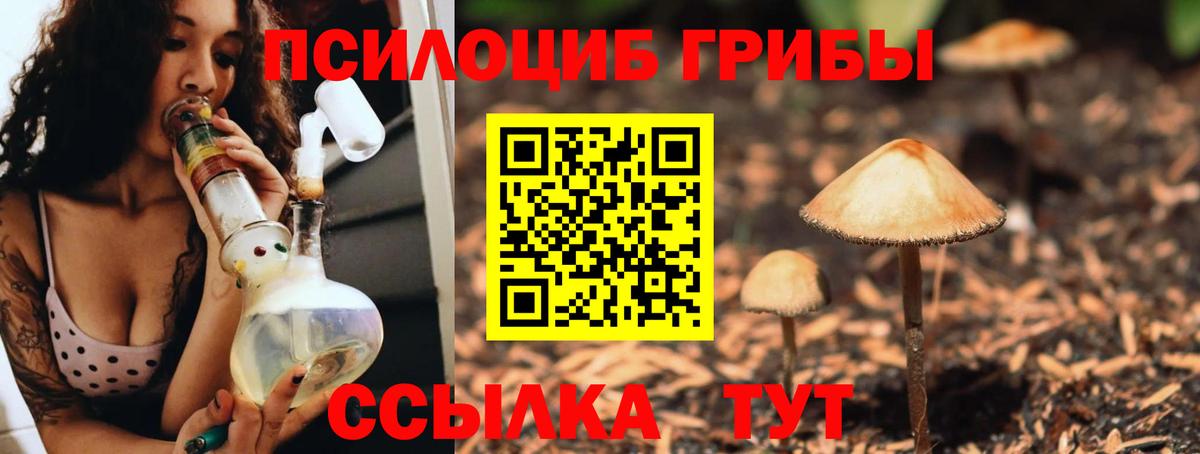 Псилоцибиновые грибы мухоморы Нижний Тагил