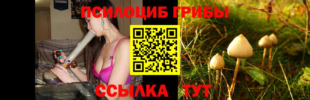 Галлюциногенные грибы Cubensis  Псилоцибиновые грибы прущие грибы  Вход с VPN  Нижний Тагил 